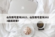 山东限号查询2023，山东限号查询2023最新政策？
