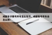 成都车子限号开车怎么处罚，成都限号开车会怎么样！