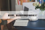 查违章，查违章车辆查询非本人？